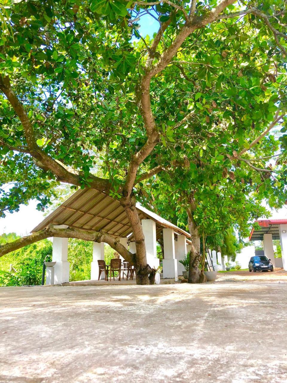 Riverside Hotel Katunayaka Exterior photo